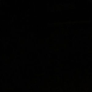 Meet your Posher, Donald